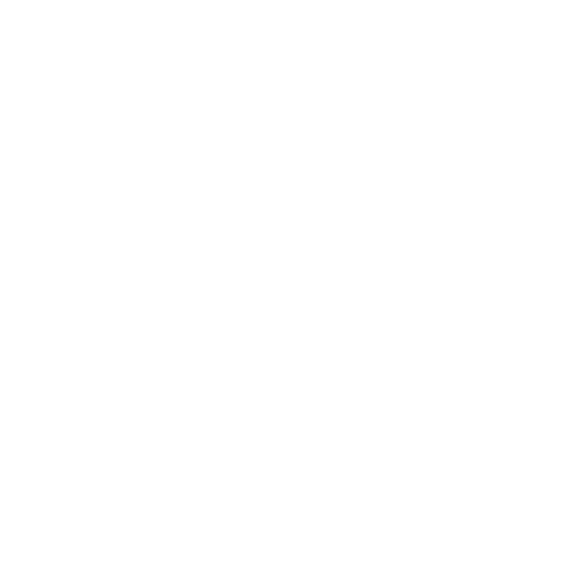 Digitzs Logo - white.png