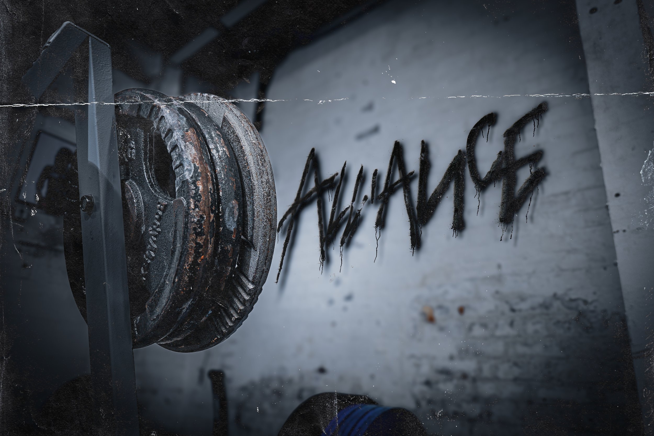 Alliance Gym R11.jpg