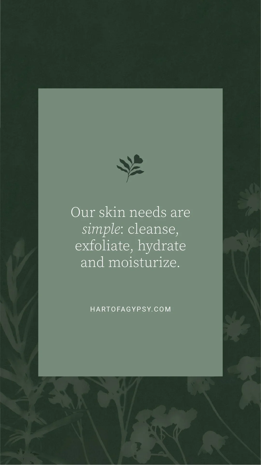 Muted green graphic with a centered box containing a small plant icon and text stating “Our skin needs are simple: cleanse, exfoliate, hydrate and moisturize,” with the brand website below.