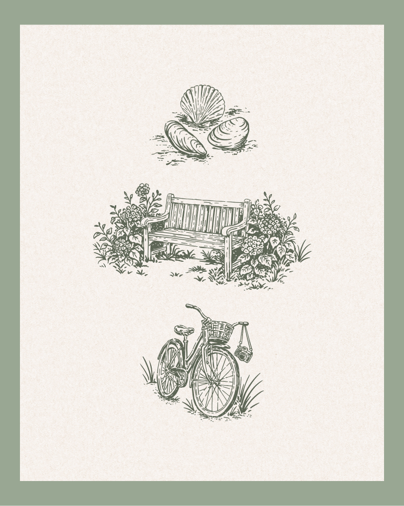 Three monochrome illustrations stacked vertically: seashells resting on grass, a wooden bench surrounded by flowers, and a bicycle with a basket and camera placed in tall grass. All set against a light background with a green border.