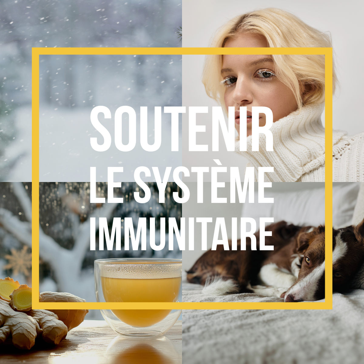 3 conseils pour éviter la grippe