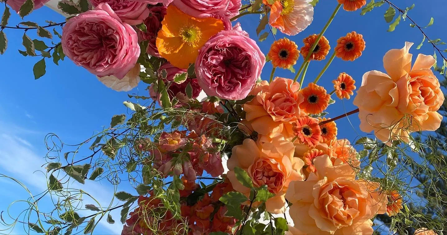 Every aspect of this arbour is just *chefs kiss* 🧡🍑🍊💕🌸🎀

Venue: @headlandsaustinmerbeach