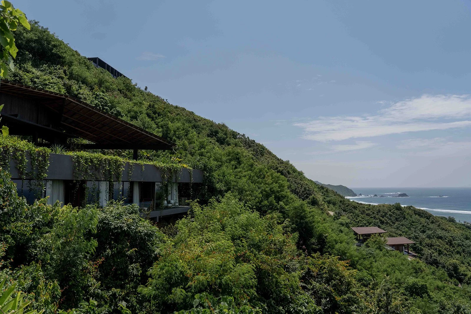 TAMPAH HILLS  - niccola.be-44.jpg