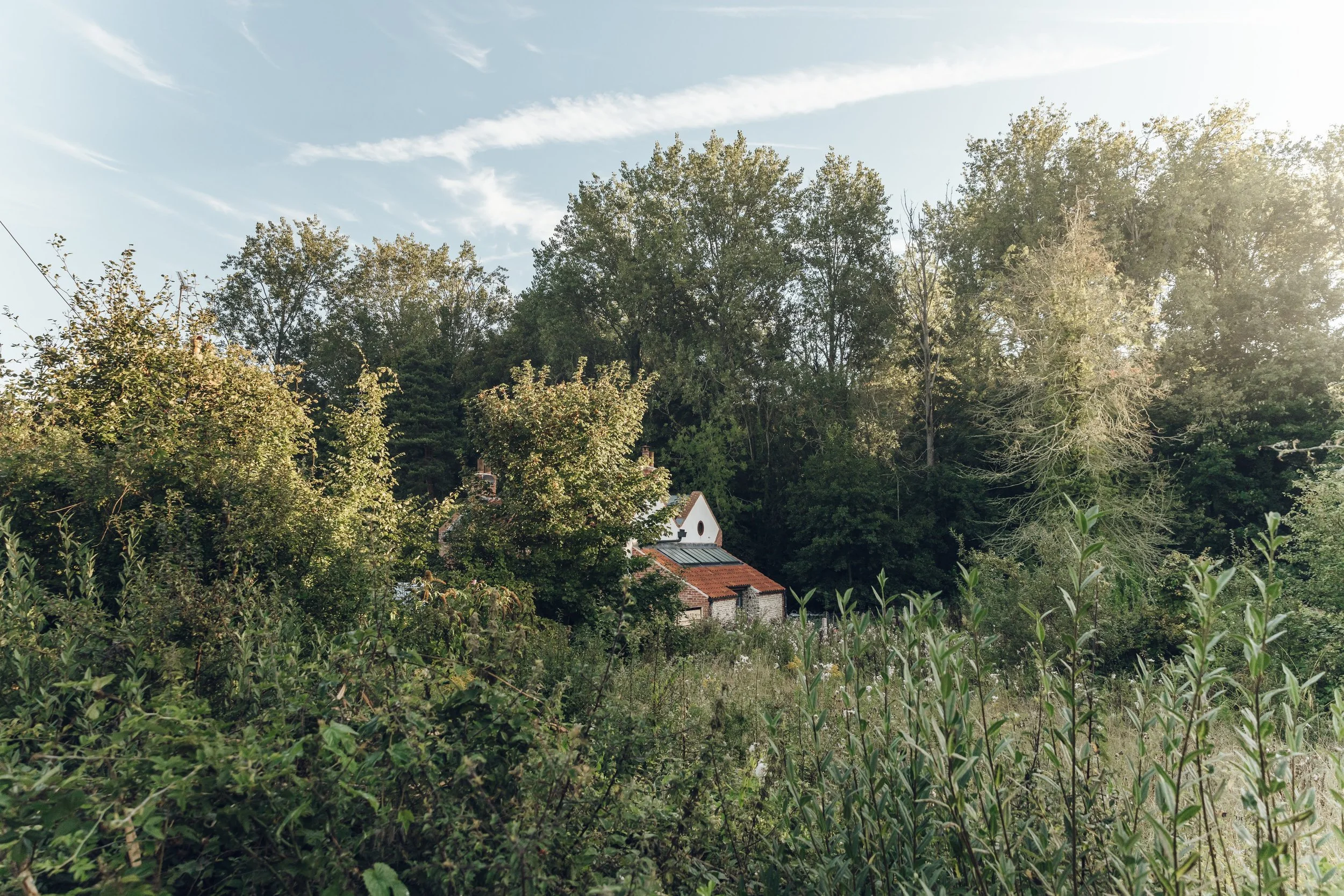 House among green foliage, Riverbank Norfolk