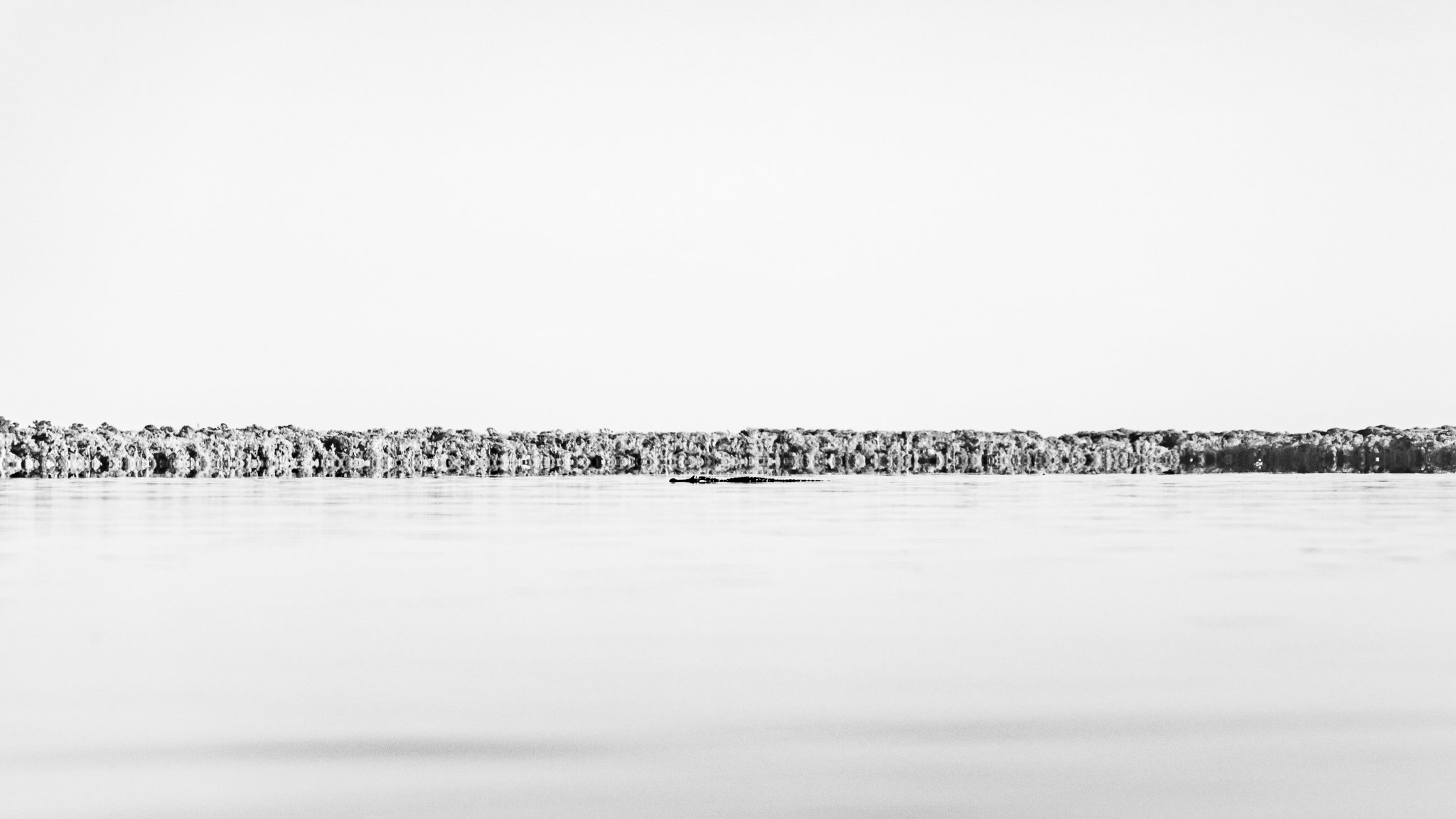 SJR_05_20241-4.jpg