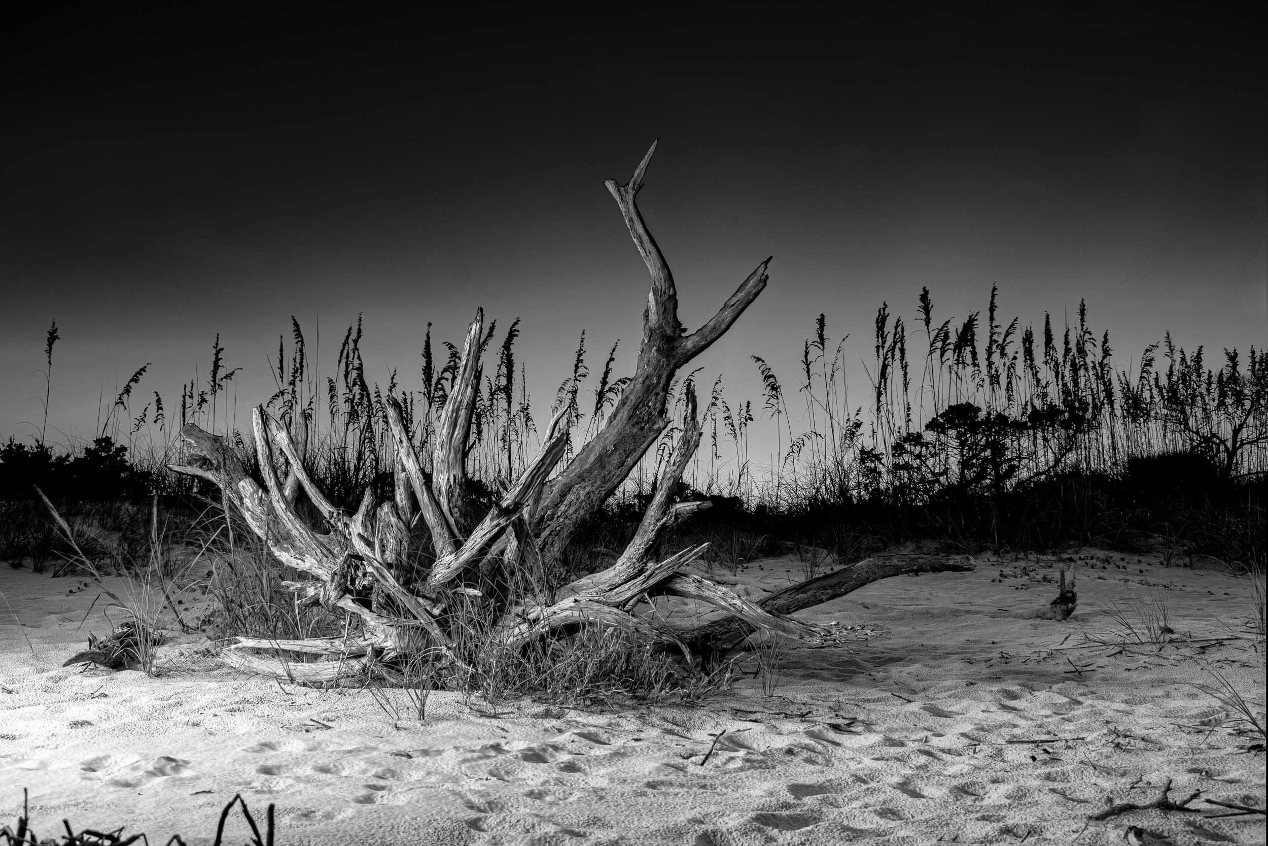 QLE_Photo_Website-9.jpg