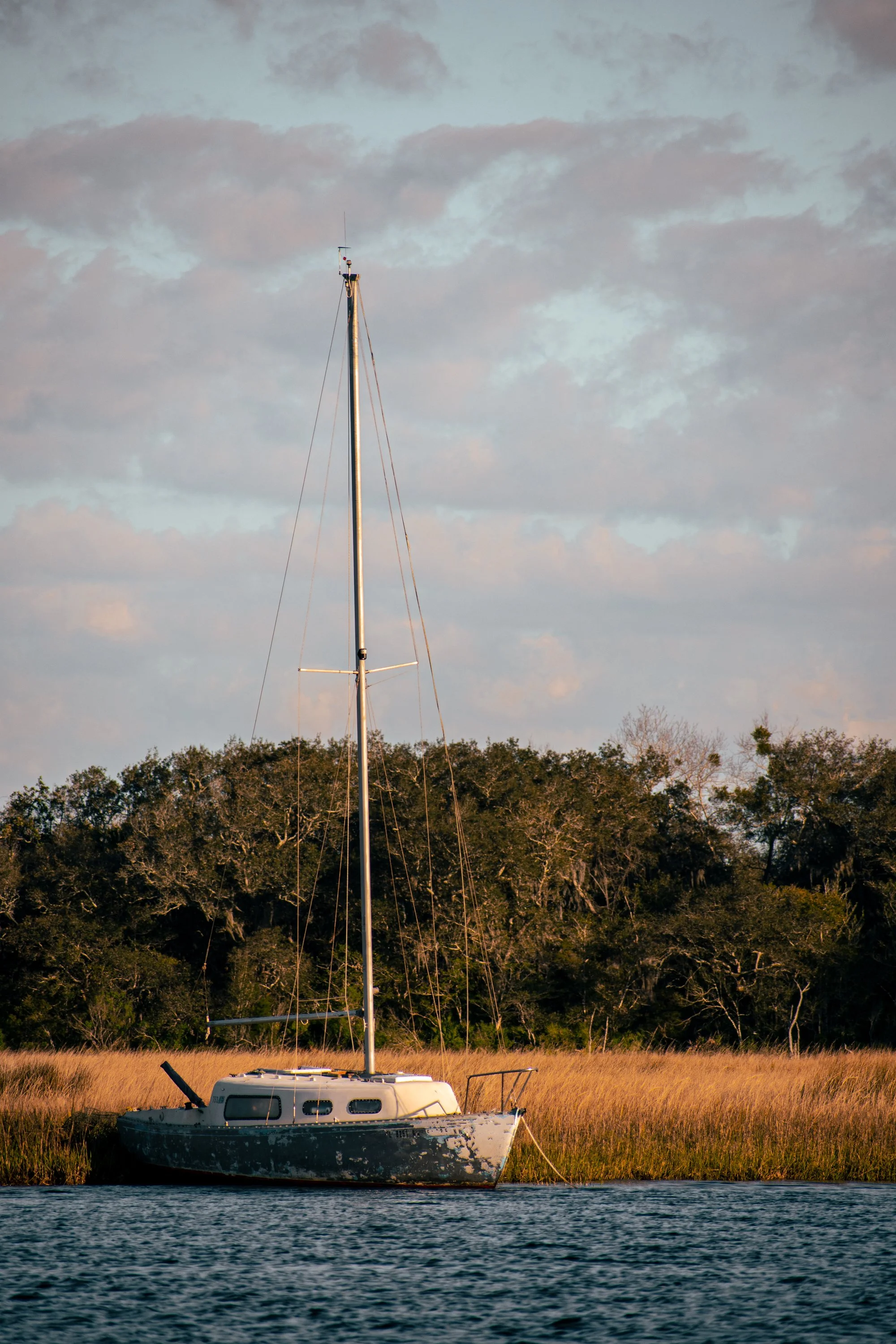 _DSC3428.jpg