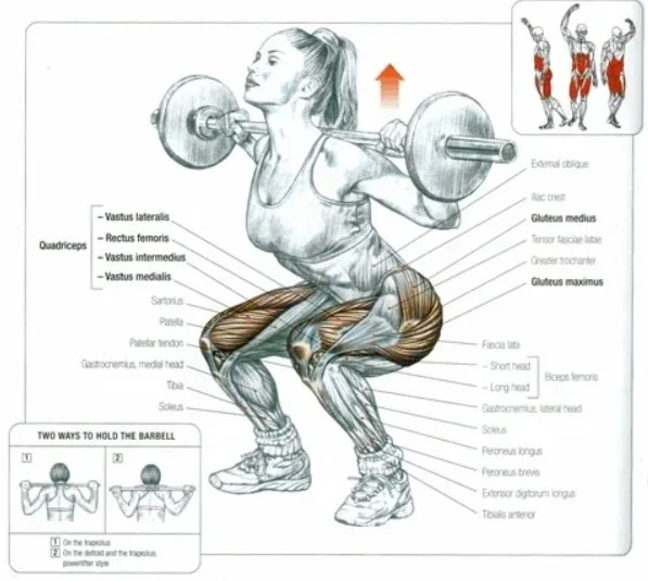 Task-Specific Functional Training vs. Traditional Strength Training: How the Body Truly Adapts