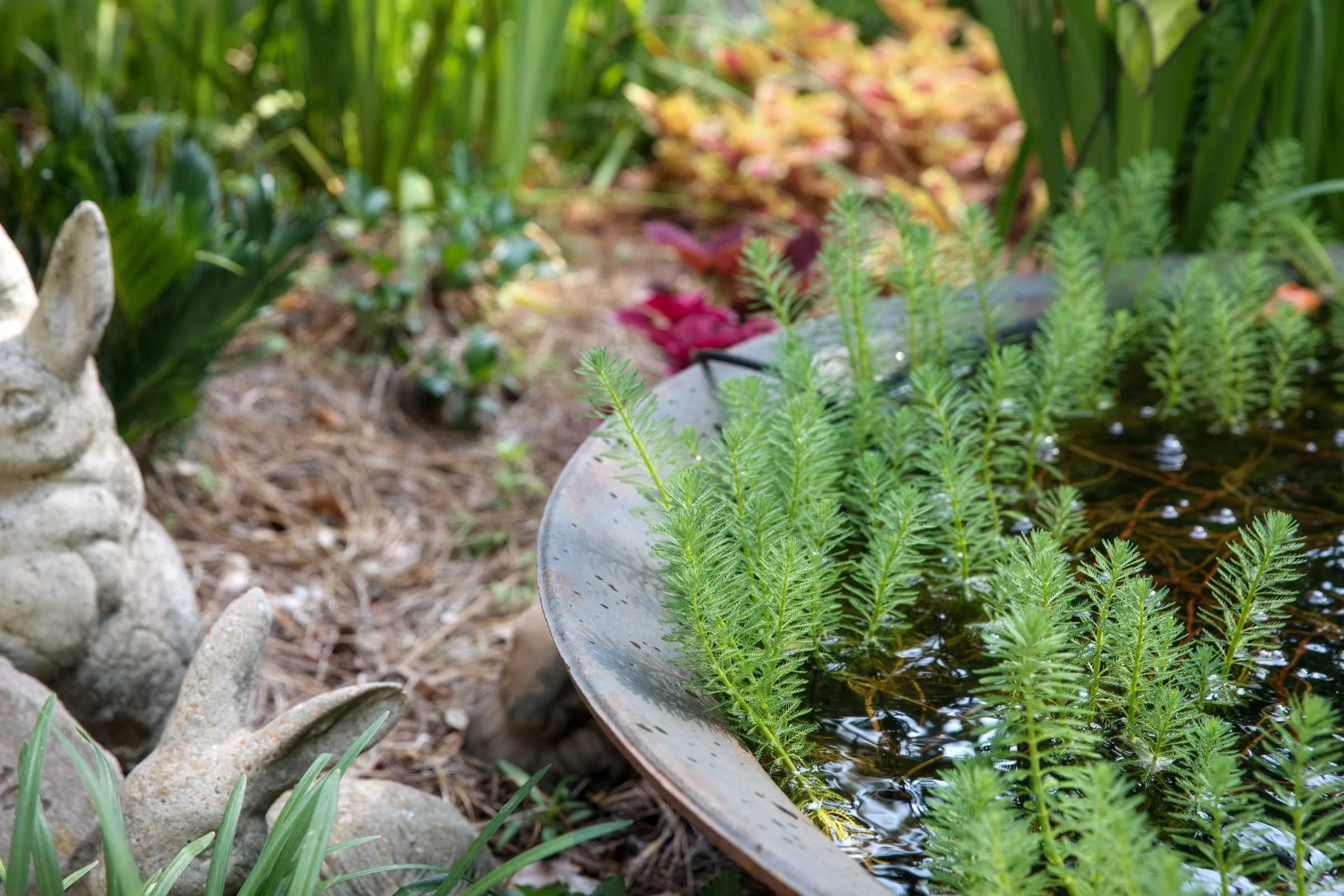 Newton Landscape Group Kleinert Project