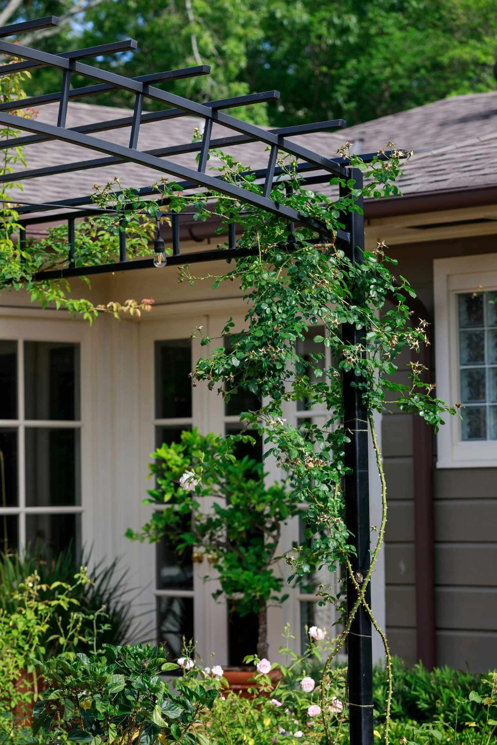 Newton Landscape Group Broussard Project