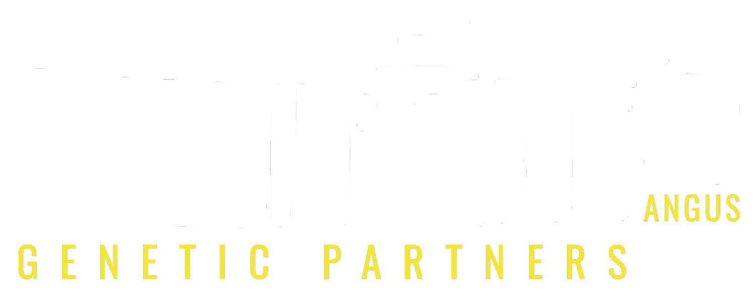 Rollin&#39; Rock