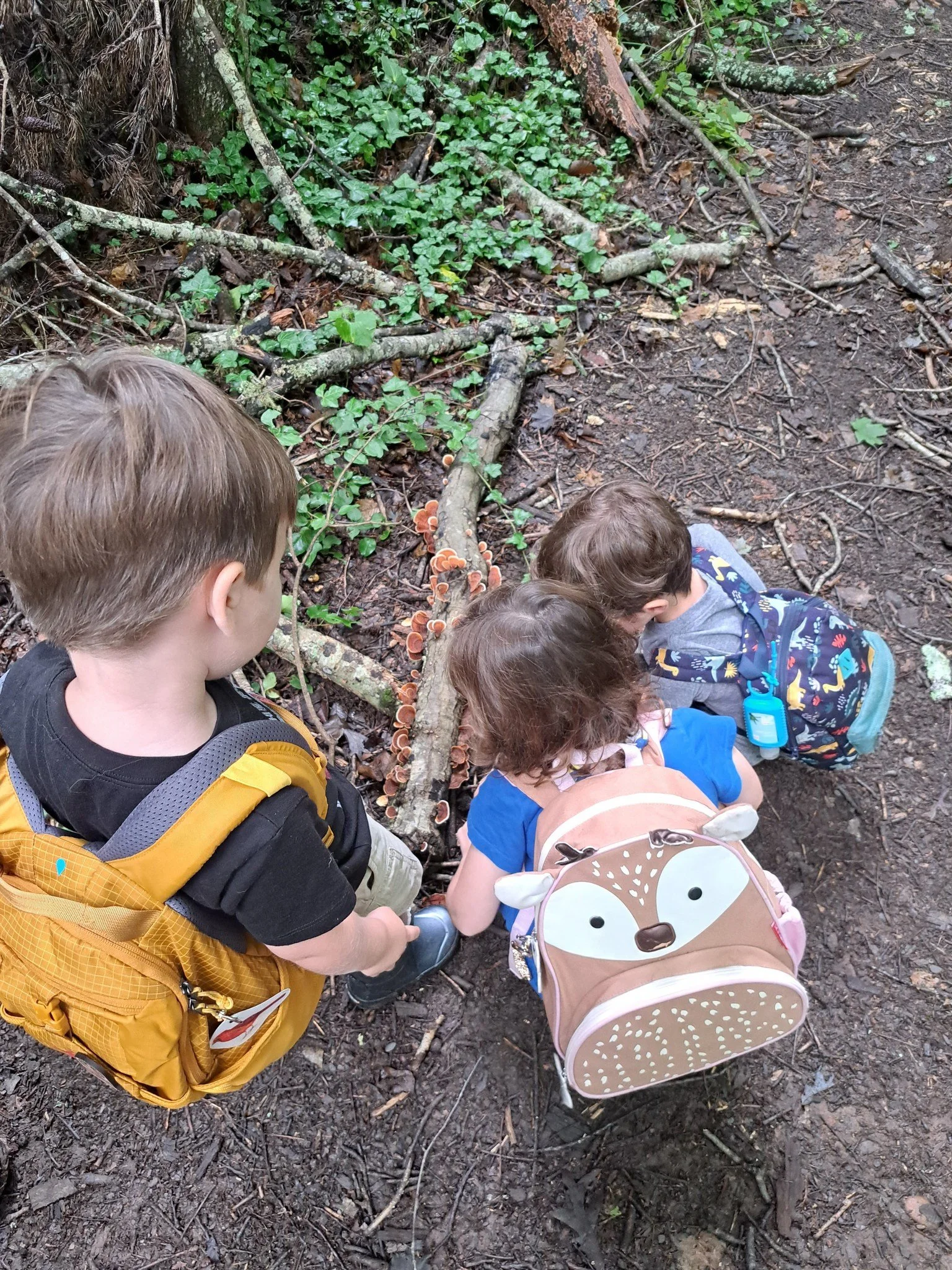 Preschool Adventures - Five Senses in Nature