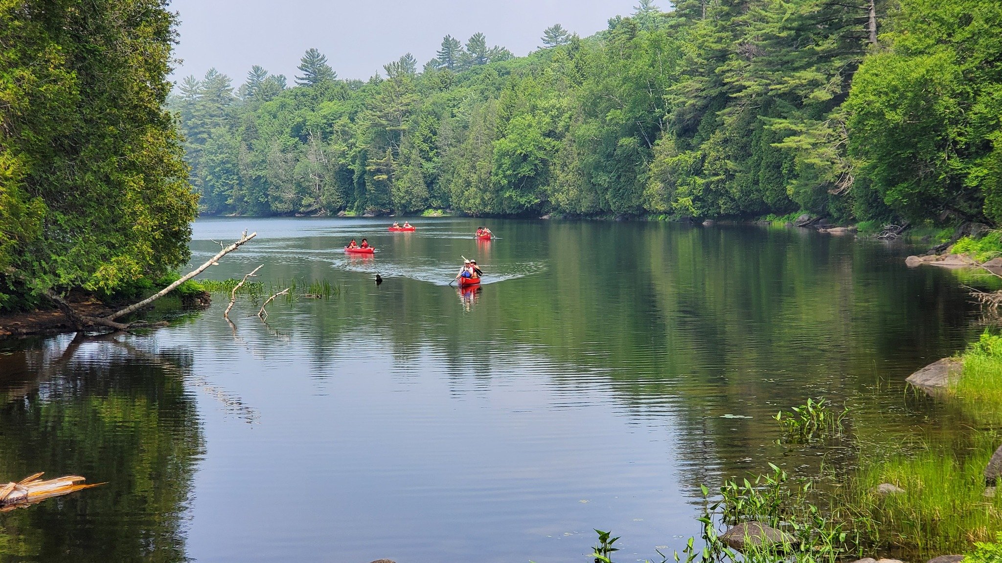 Intro to Paddling