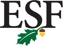 Fire Tower Hike