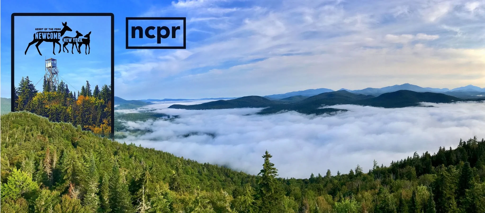 Climb Goodnow Mt. and Firetower
