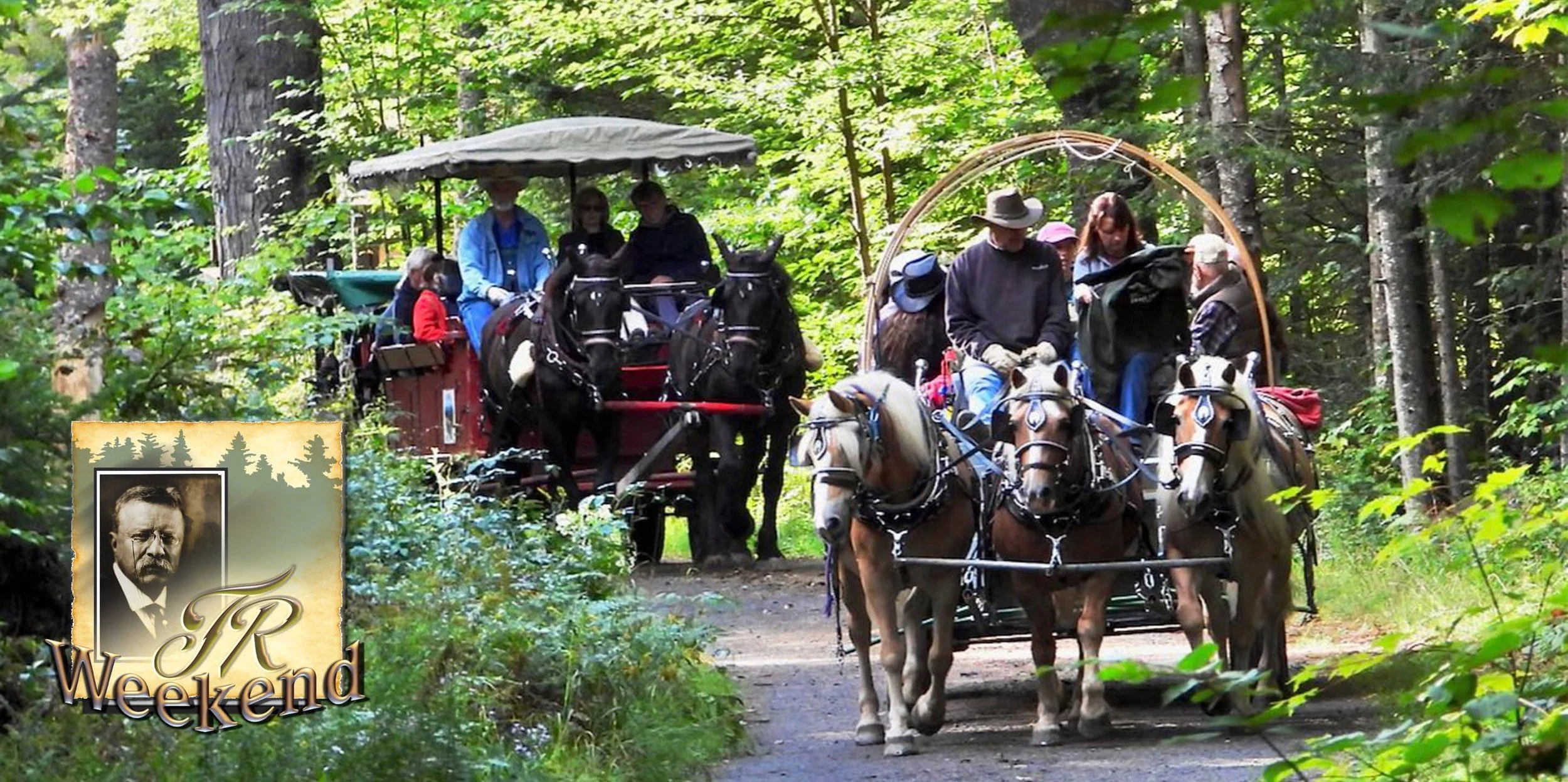Santanoni Wagon Ride with Newcombe Farm