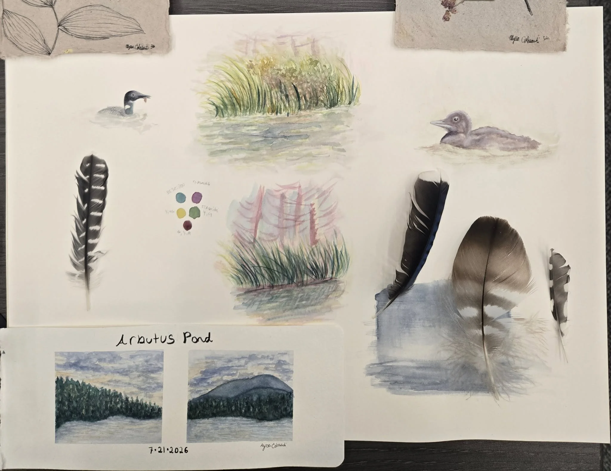 Artist Reception