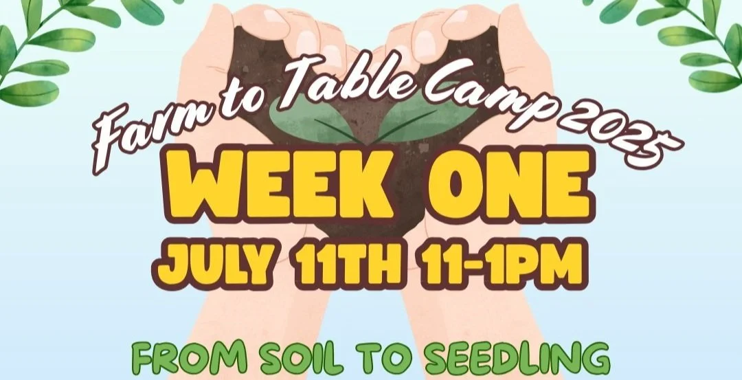 Farm to Table Camp - Week 1