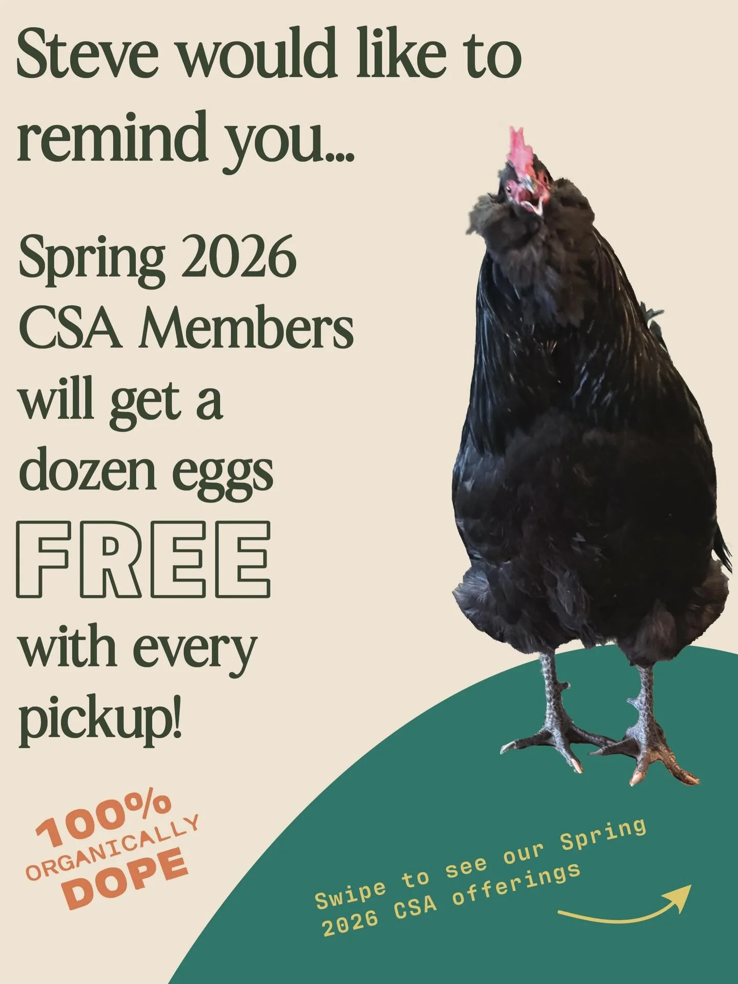 In addition to a plethora of organic vegetables, herbs, and other produce, CSA members will also now receive a dozen eggs with their bundles each week! Thanks to Steve, you&rsquo;ll never forget how easy it is to eat organically!

SPOTS FOR SPRING 20