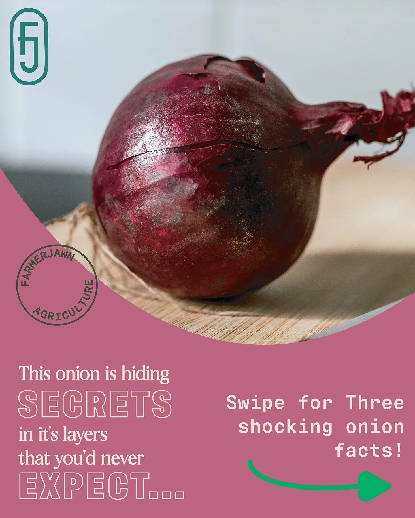 Did you know!? 
Onions aren&rsquo;t just layers of flavor&hellip;they&rsquo;re layers of history, health, and culture. From ancient rituals &amp; remedies to everyday meals, this crop carries more than taste&mdash;it carries intention. 🧅

And not al