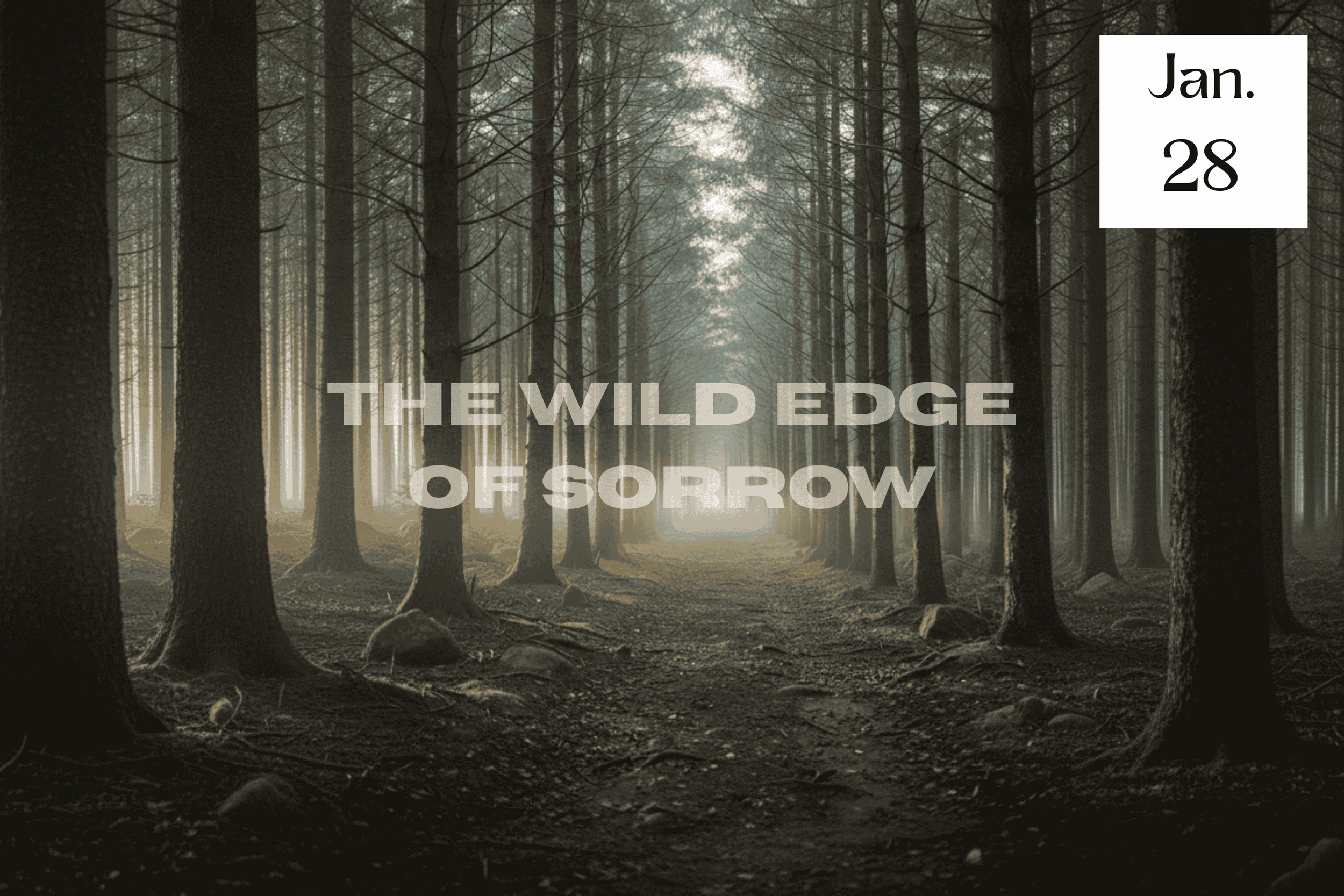 The Wild Edge of Sorrow by Francis Weller