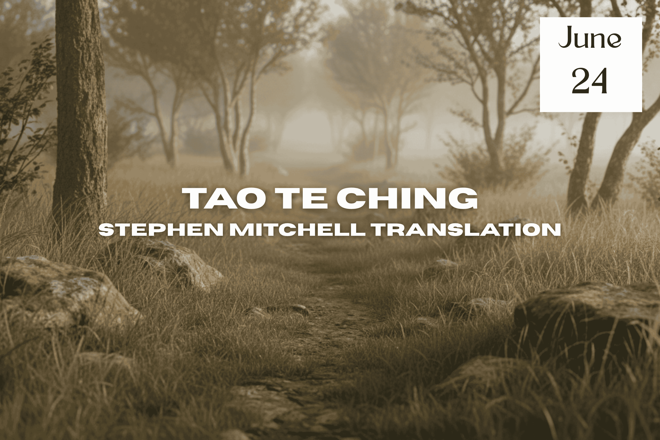Tao Te Ching - Stephen Mitchell translation