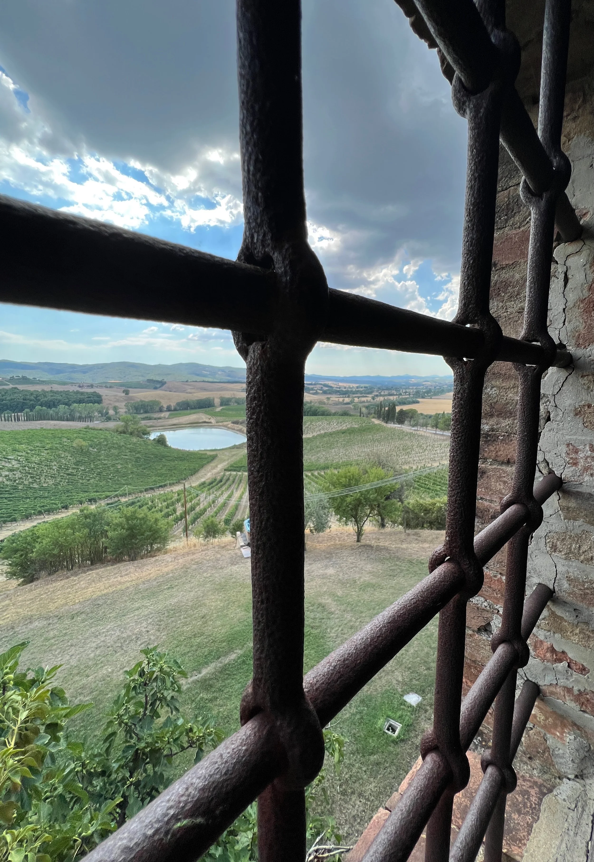 xxx888 - 1 (12).jpeg