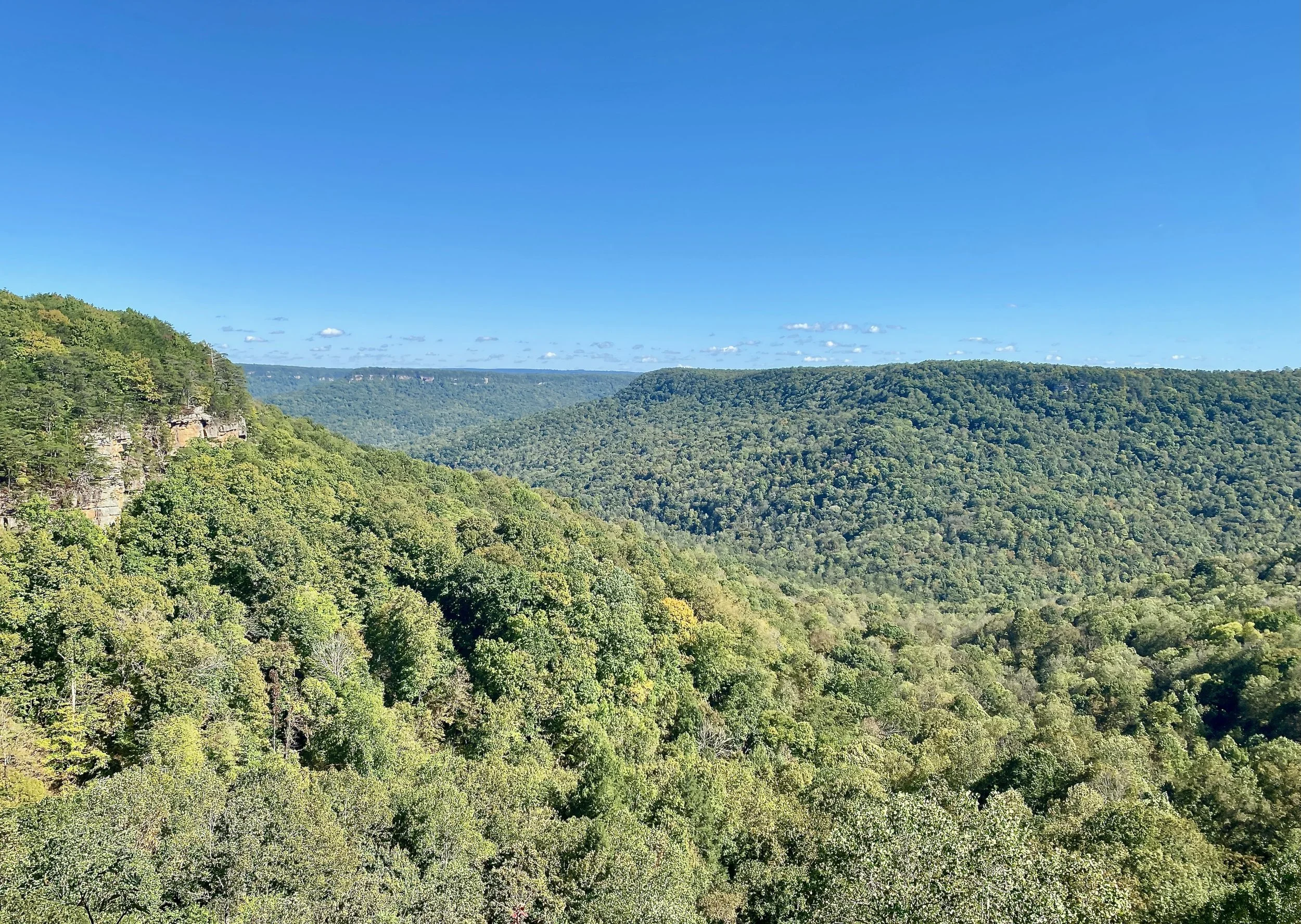 xxx888 - 1 (38).jpeg