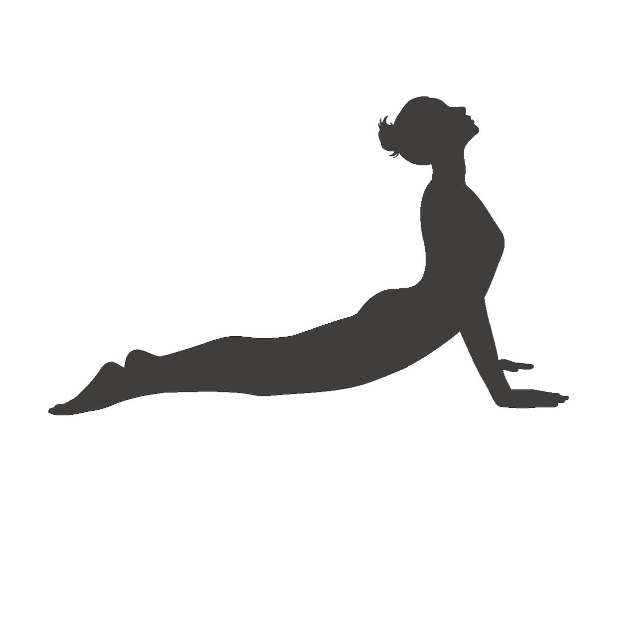 Chaturanga Dandasana -Four-Limbed Staff Pose variation with yoga