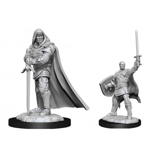 Human Paladin male.jpeg
