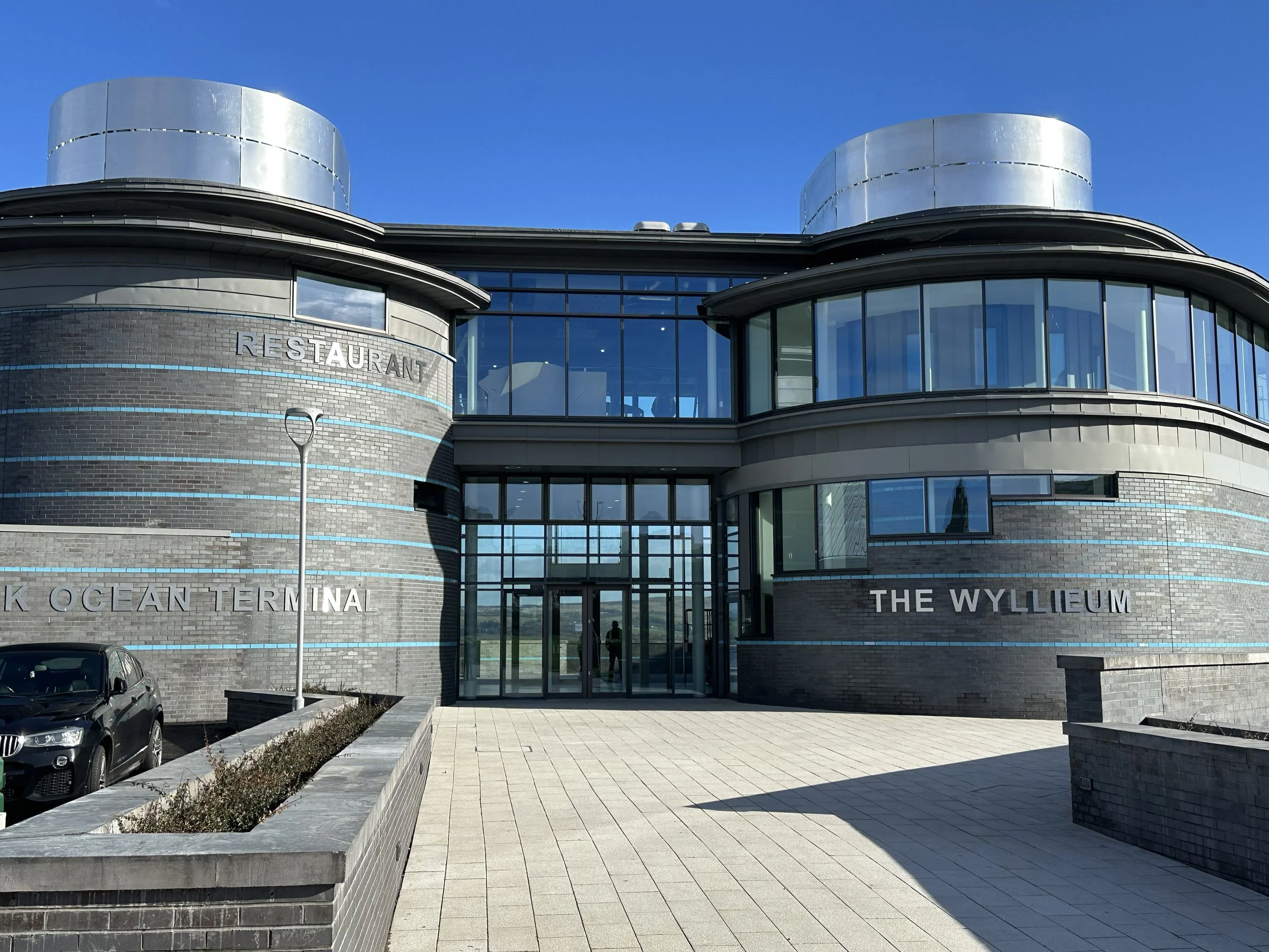 Wyllieum wyllieum