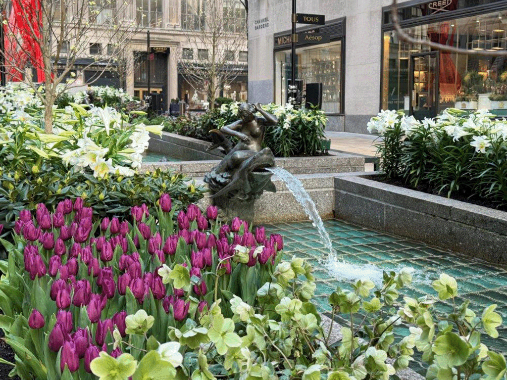 Fountain with a bronze sculpture of a woman on a fish, surrounded by pink tulips and white lilies in an urban shopping area.