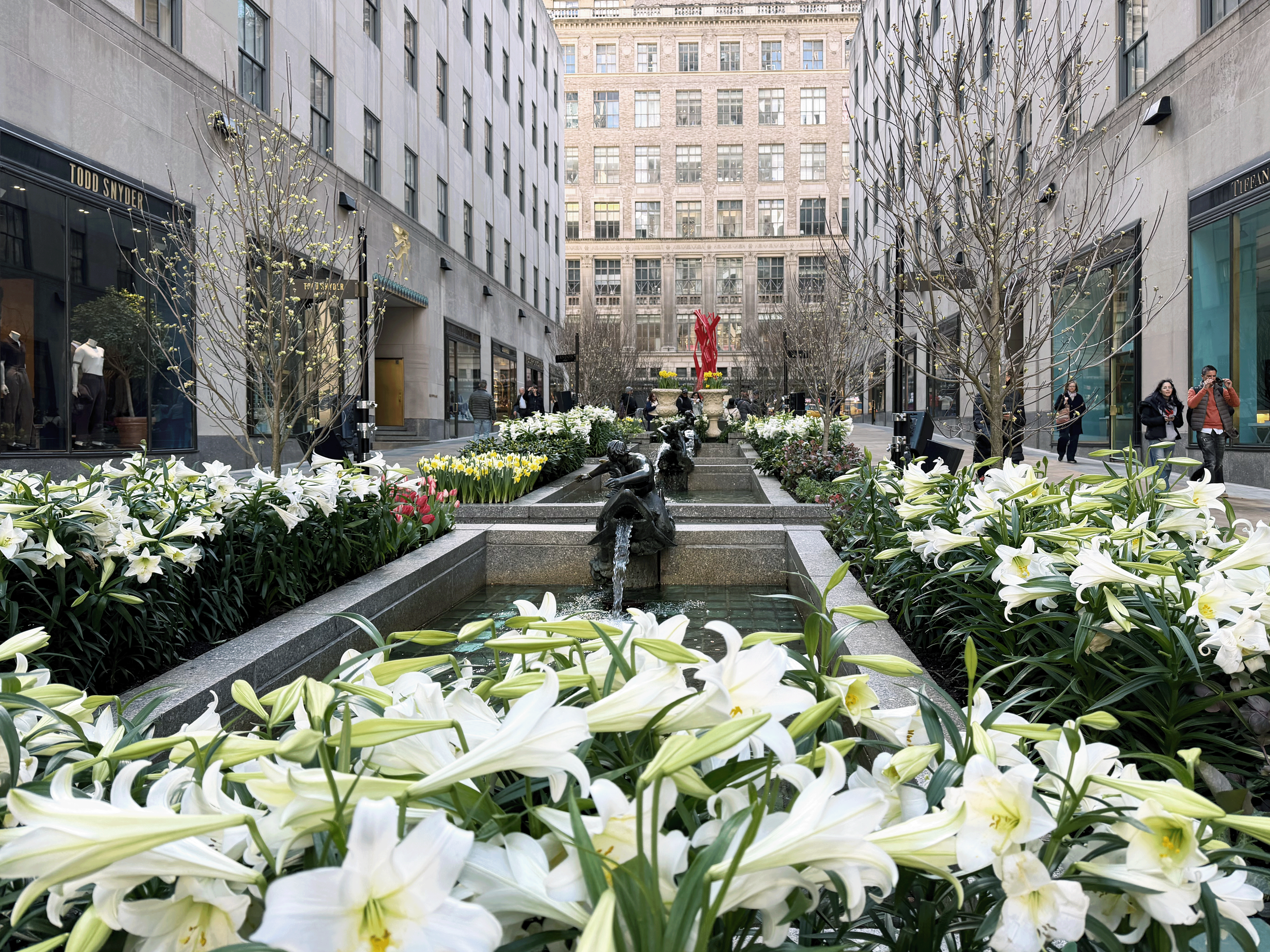 Channel Gardens at Rockefeller Center contains beautiful flower beds, trees, statues, and a marble fountain, surrounded by historical high-rise buildings in the heart of NYC. 
