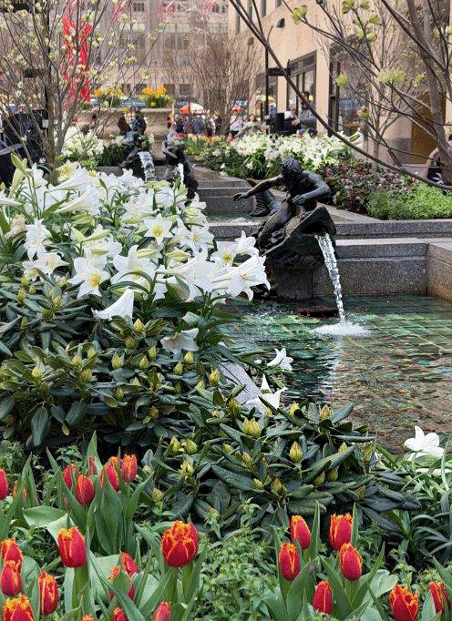 City park with white lilies and red tulips, featuring a fountain with metal sculptures of children playing water, surrounded by benches and pedestrians.