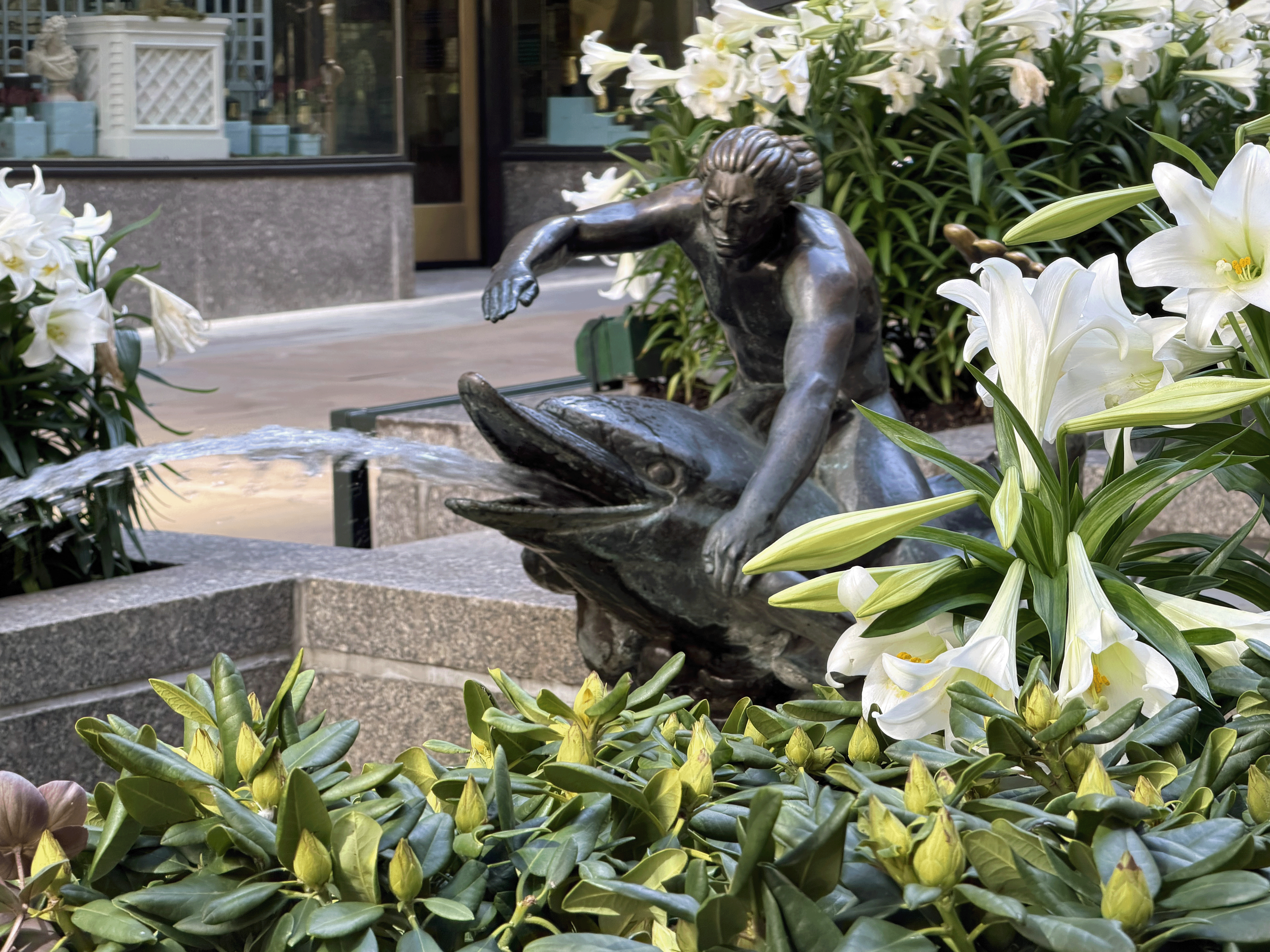 Channel Gardens at Rockefeller Center contains beautiful flower beds, trees, statues, and a marble fountain, surrounded by historical high-rise buildings in the heart of NYC. 