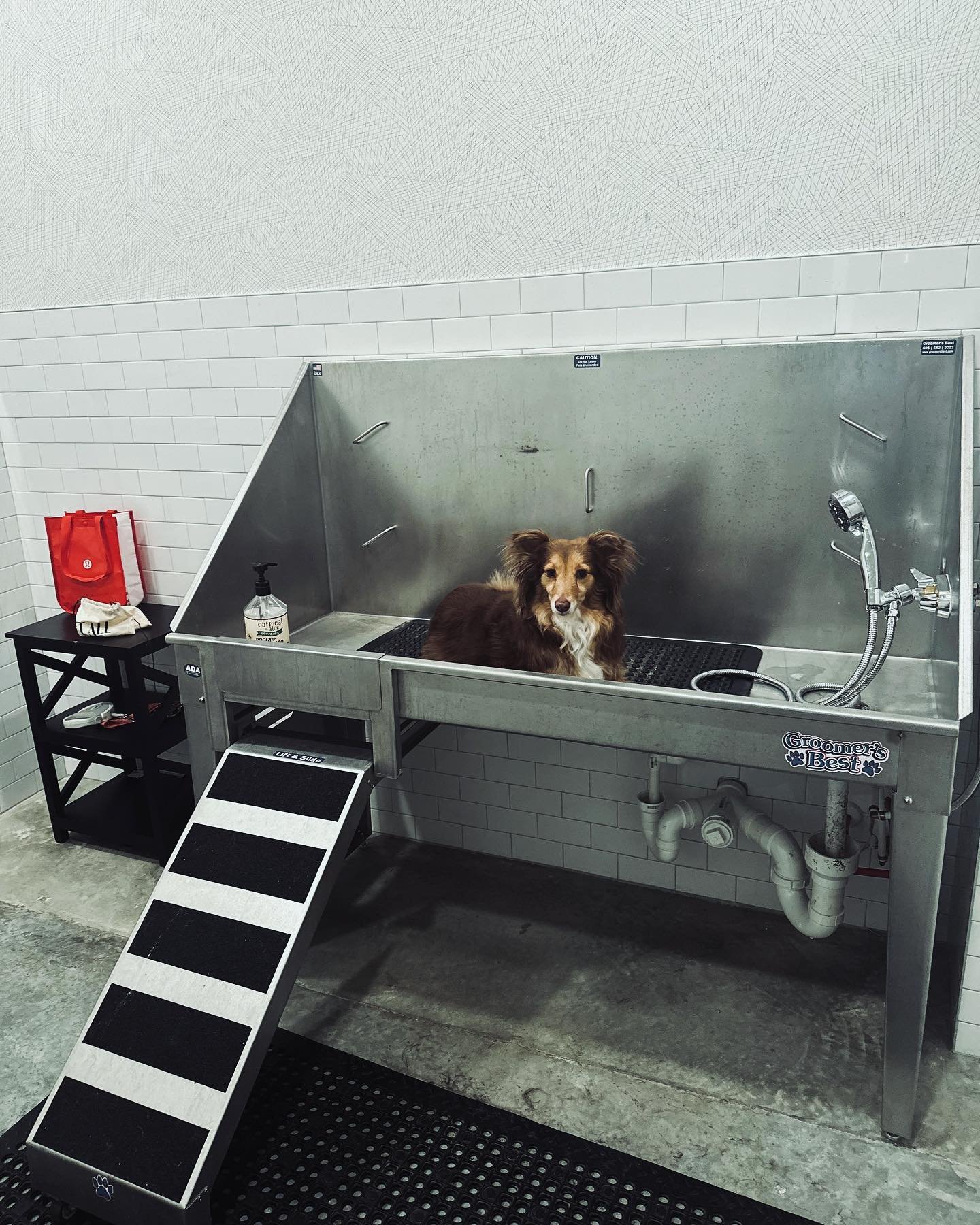 🐾 Introducing the Darby&rsquo;s Pet Spa. Featuring todays model, Delilah! 🛁 Treat your furry friend to a spa day experience like no other! Say goodbye to messy baths at home and hello to convenience and relaxation. Snap a pic of your squeaky-clean 