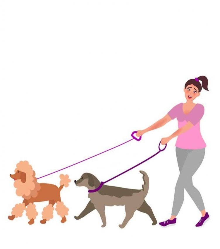 additional+dog+walk.jpg