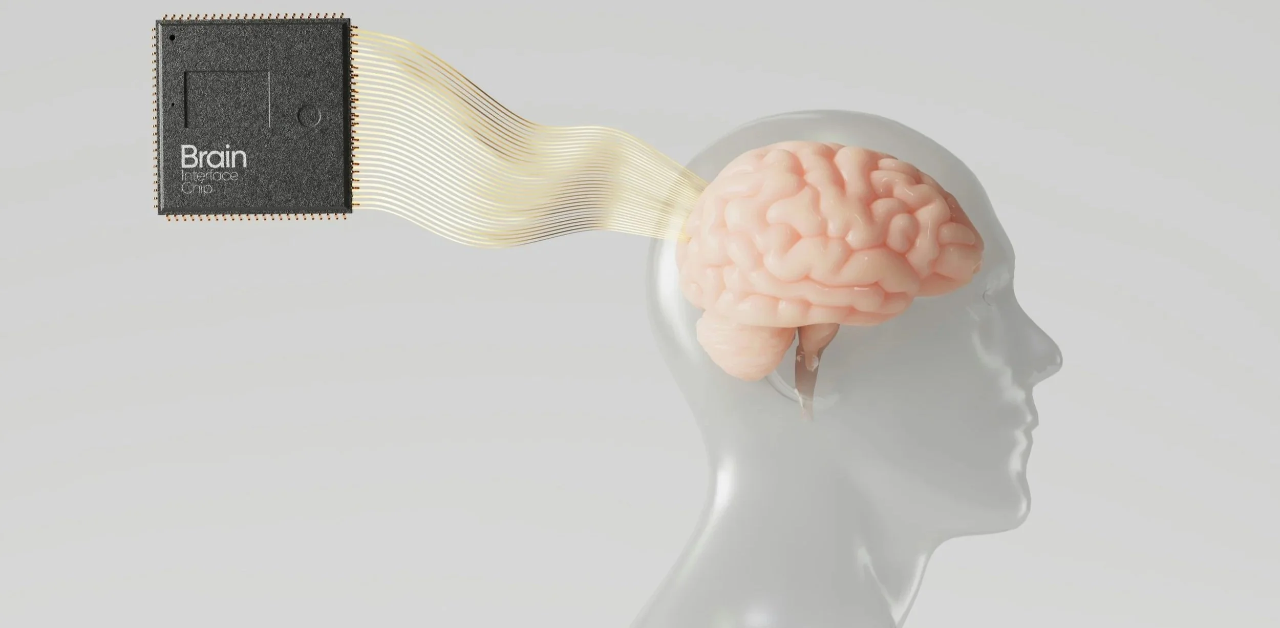 Why Your Client’s Brain Has No Folders