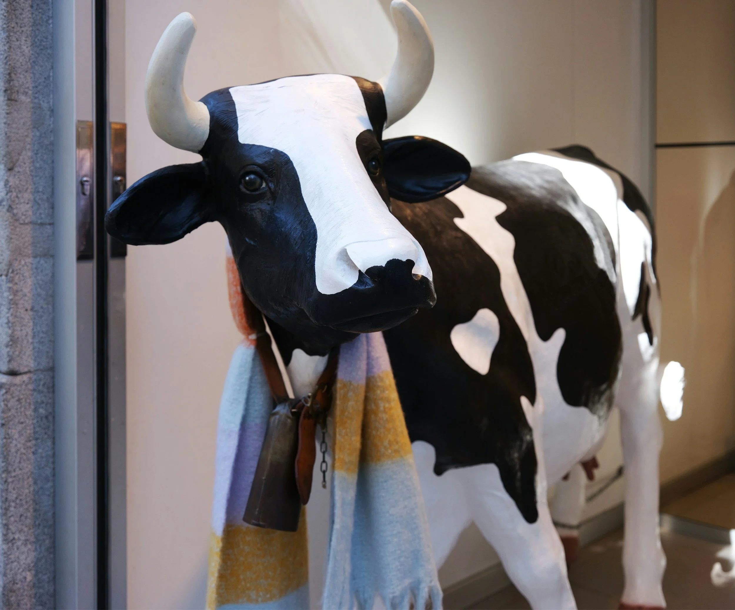 The “COW” in your therapy office 