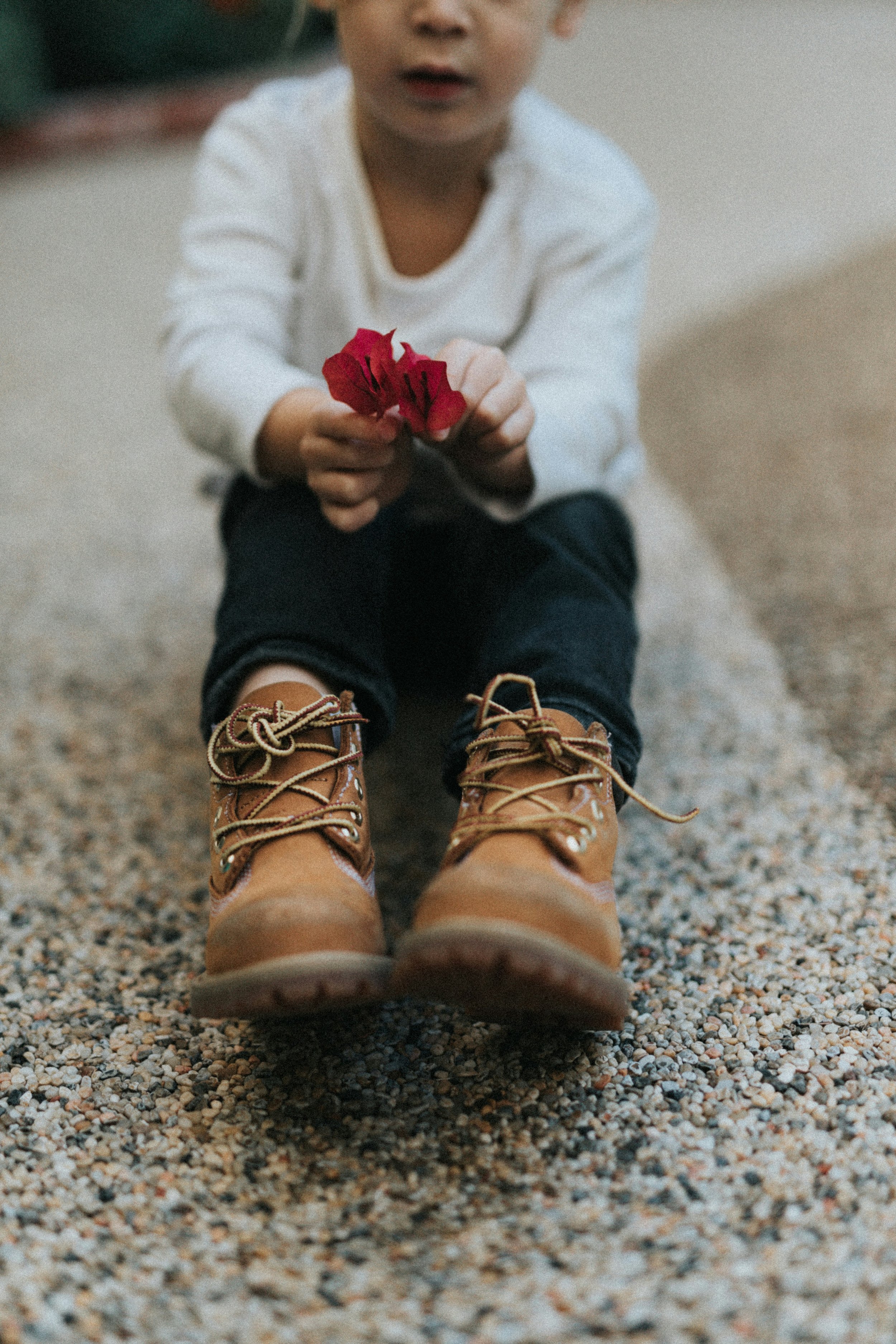 Somatic Therapy for Boundaries: When Helping Too Soon Interrupts Change