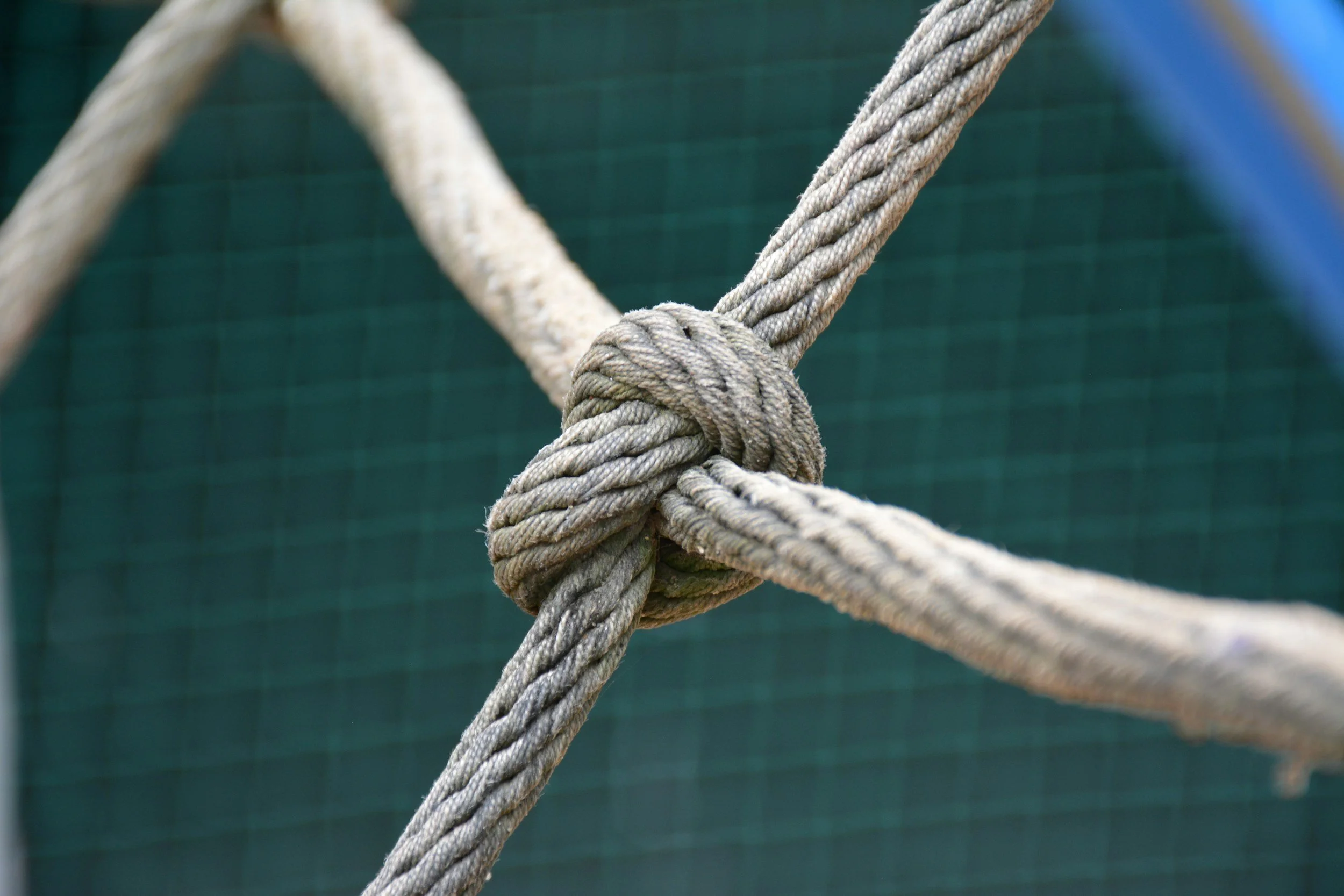 TRAUMA TRAINING FOR THERAPIST