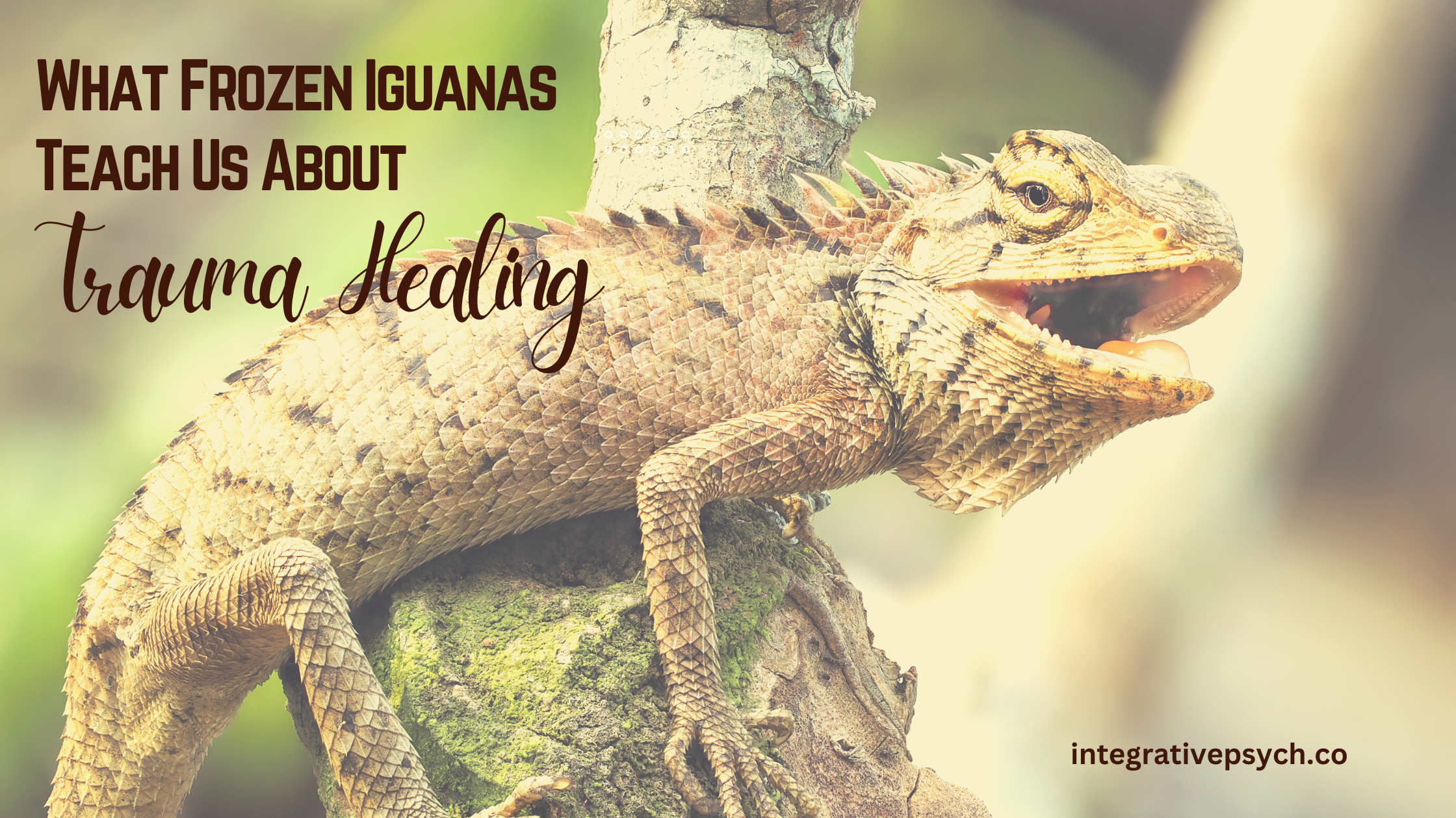 trauma-healing-mastery-blog