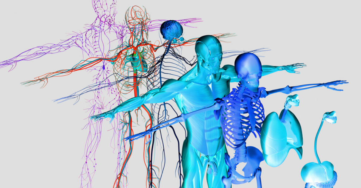 trauma-training-for-therapists