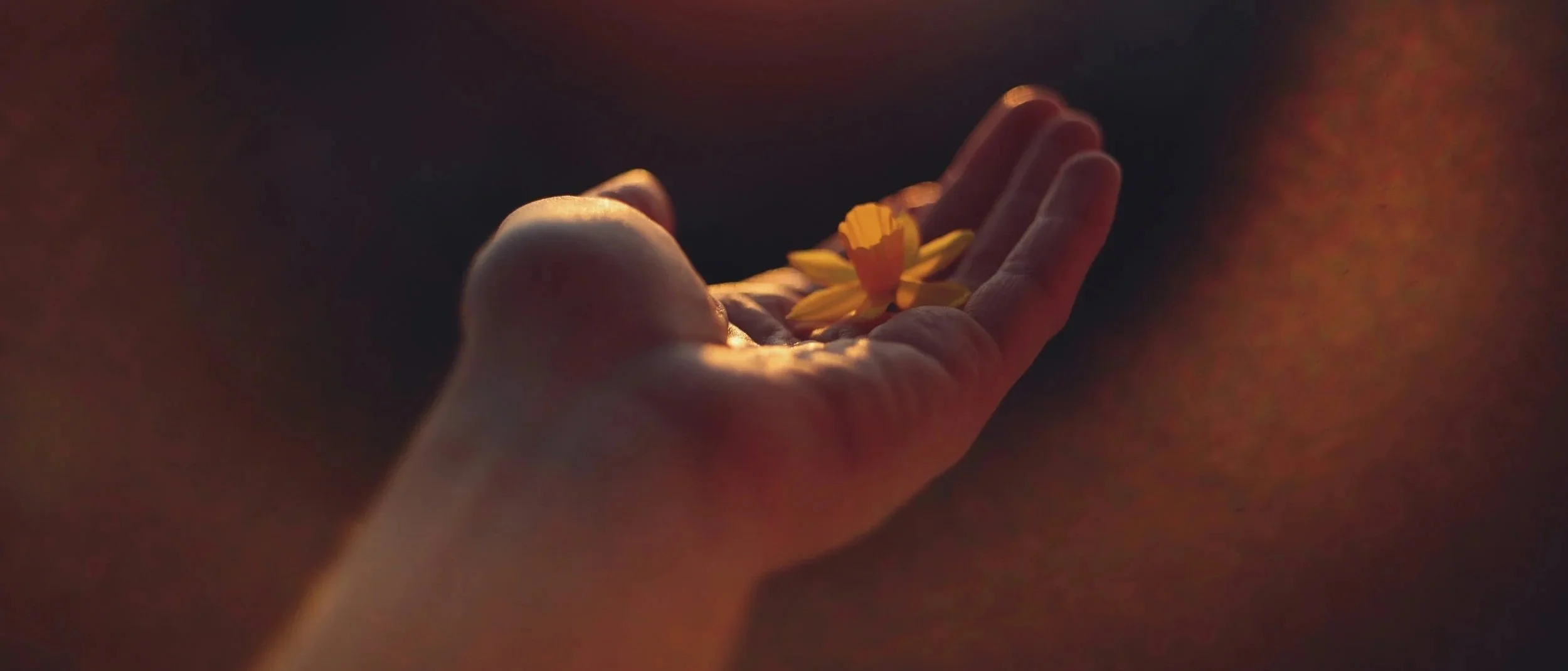 The "Holy" Object in Your Therapy Room