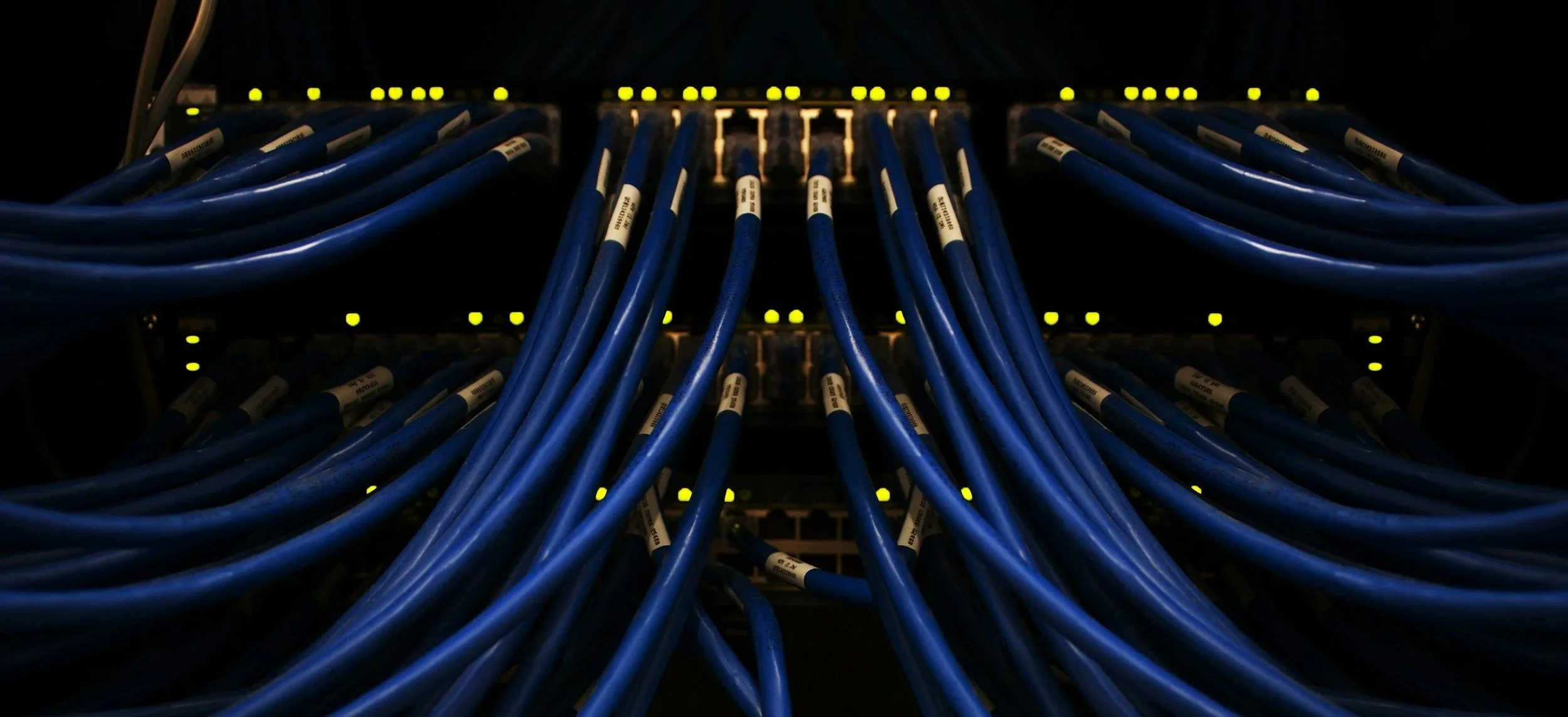 wiring-trauma-therapy