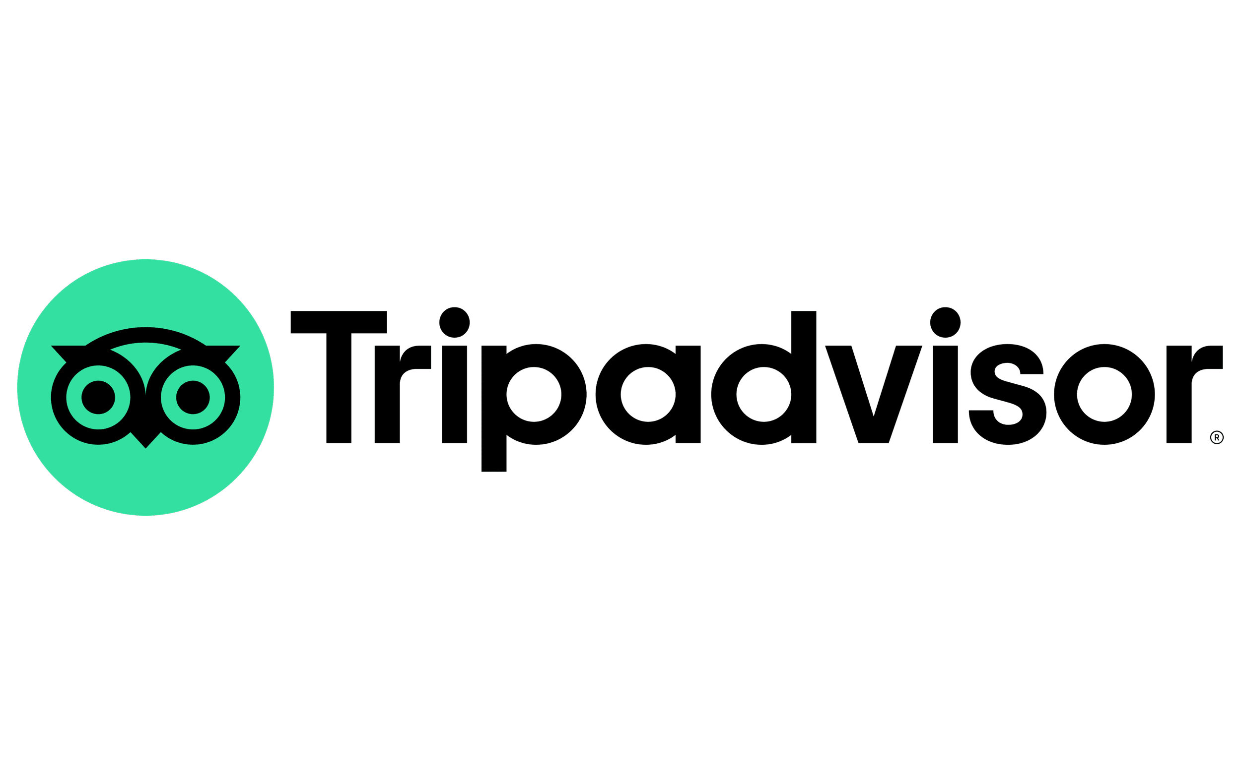 TripAdvisor logo with a cartoon owl face inside a turquoise circle and the word "TripAdvisor" in black letters.