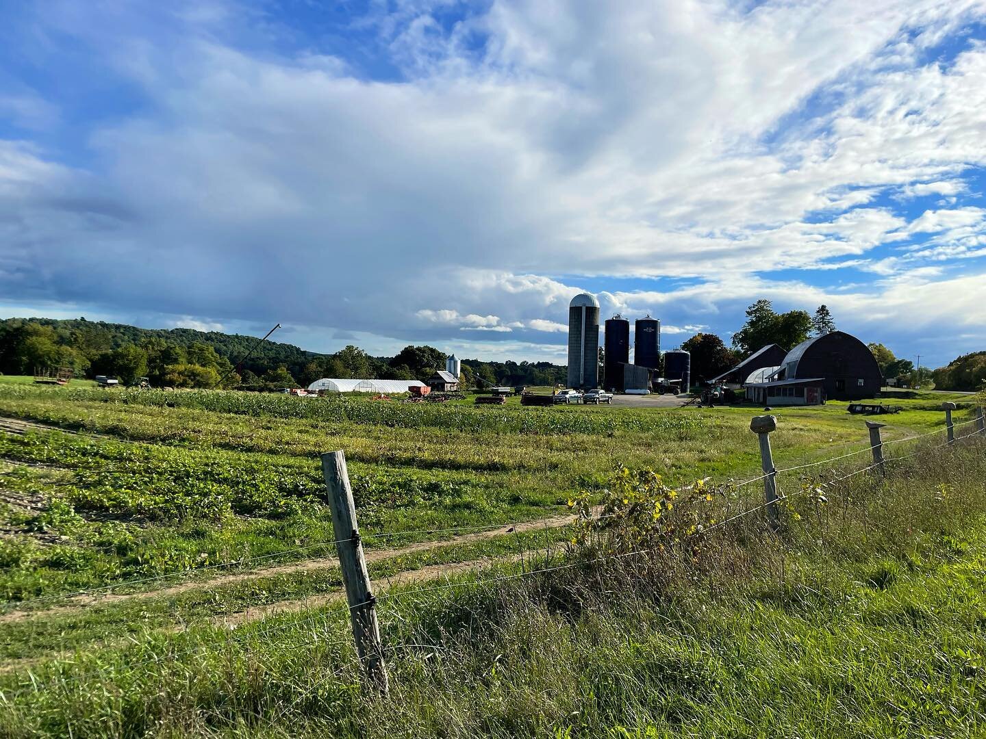 Sunny skies pre-corn harvest ☀️#regenerativeorganic #organicgrains #hudsonvalley