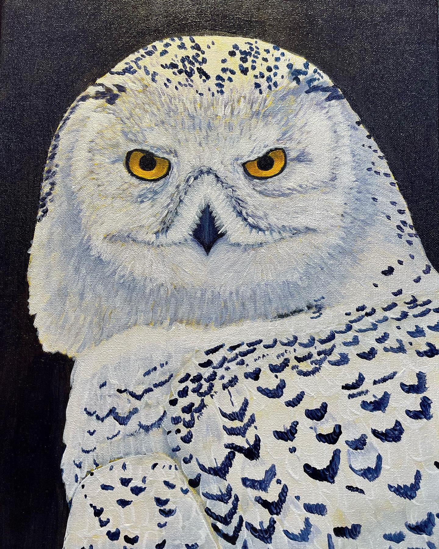 Here&rsquo;s my finished acrylic painting.  Snowy Owl, 12&rdquo; x 16&rdquo;. Sign up for my newsletter www.sloangerardstudio.com #birdsofprey #surrealism #acrylicpainting #snowyowl  #birdsofinstagram