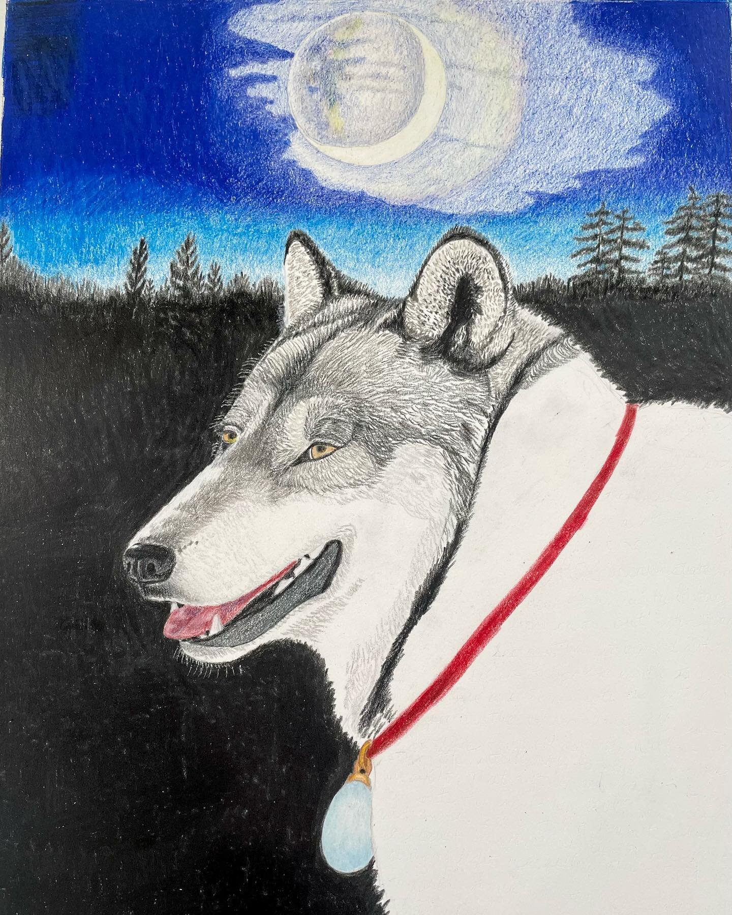 &ldquo;The Gift&rdquo;, colored pencil, 12&rdquo;W x14.5&rdquo;H.
This piece represents the essence of who I am, the wolf, giving a gift to myself-that being, an egg.  The egg represents new beginnings and hope. This work is in progress currently. #w