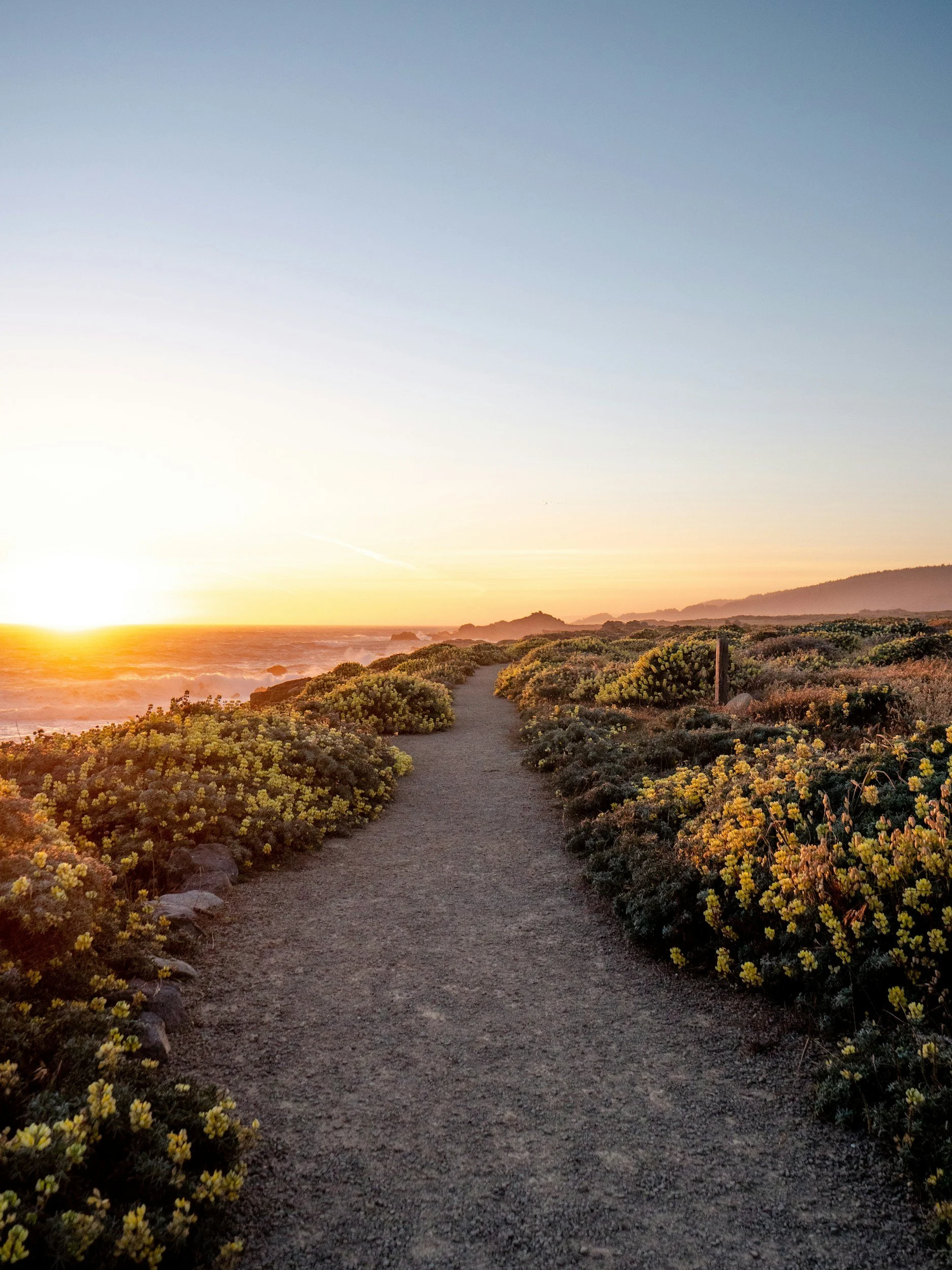A dirt path running through coastal vegetation at sunset with low hills in the background and a partly cloudy sky.
